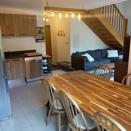 T4 Duplex Vue Montagne Lägenhet *